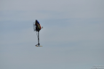 20140531_092926_DSC_0003.JPG