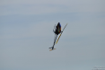 20140531_092928_DSC_0004.JPG